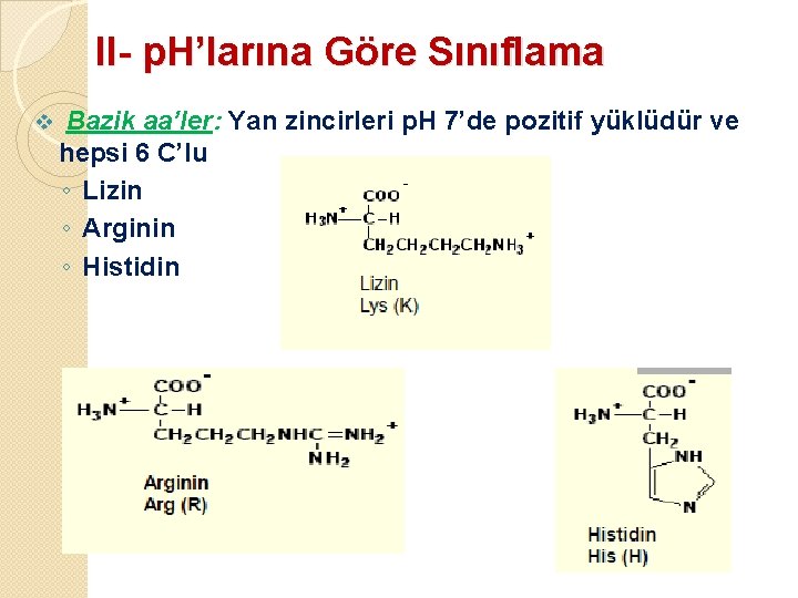 II- p. H’larına Göre Sınıflama v Bazik aa’ler: Yan zincirleri p. H 7’de pozitif