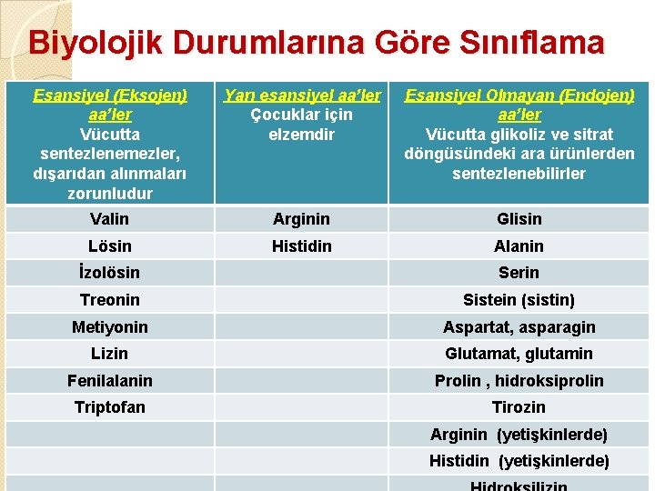 Biyolojik Durumlarına Göre Sınıflama Esansiyel (Eksojen) aa’ler Vücutta sentezlenemezler, dışarıdan alınmaları zorunludur Yarı esansiyel