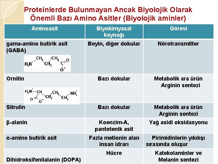 Proteinlerde Bulunmayan Ancak Biyolojik Olarak Önemli Bazı Amino Asitler (Biyolojik aminler) Aminoasit Biyokimyasal kaynağı