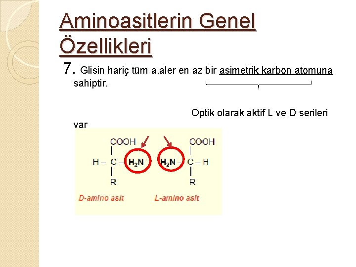 Aminoasitlerin Genel Özellikleri 7. Glisin hariç tüm a. aler en az bir asimetrik karbon