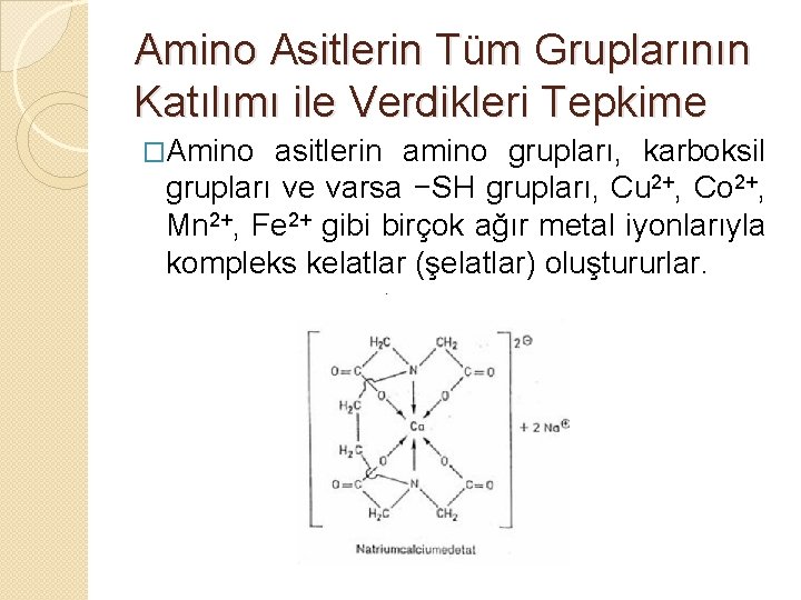 Amino Asitlerin Tüm Gruplarının Katılımı ile Verdikleri Tepkime �Amino asitlerin amino grupları, karboksil grupları