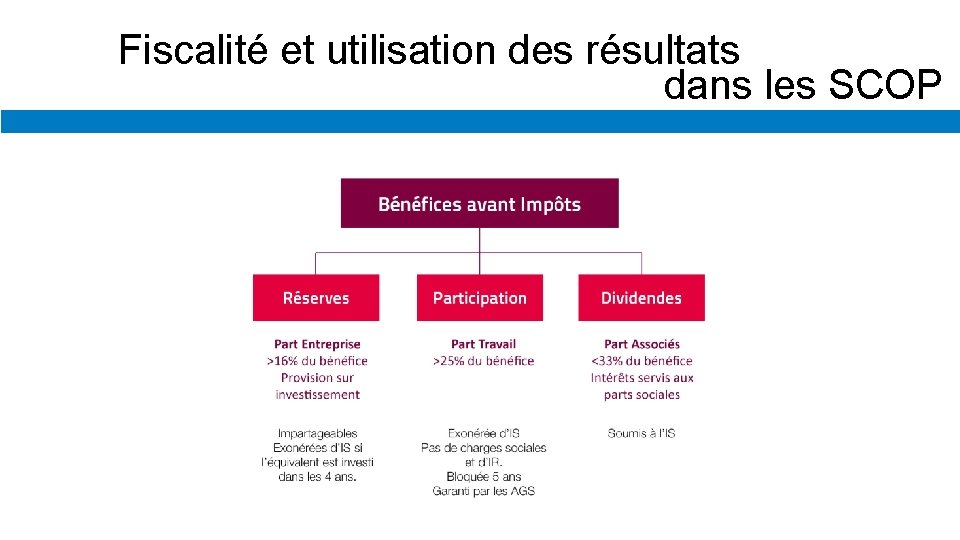 Fiscalité et utilisation des résultats dans les SCOP 