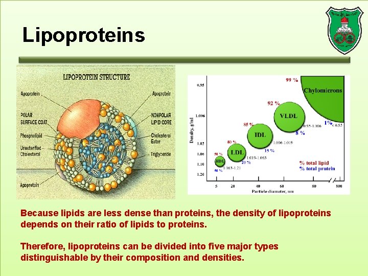 Lipoproteins Because lipids are less dense than proteins, the density of lipoproteins depends on