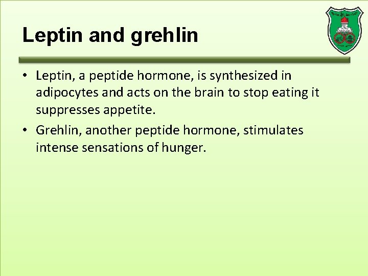 Leptin and grehlin • Leptin, a peptide hormone, is synthesized in adipocytes and acts