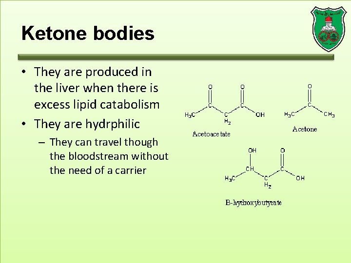 Ketone bodies • They are produced in the liver when there is excess lipid