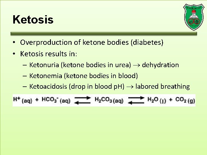 Ketosis • Overproduction of ketone bodies (diabetes) • Ketosis results in: – Ketonuria (ketone