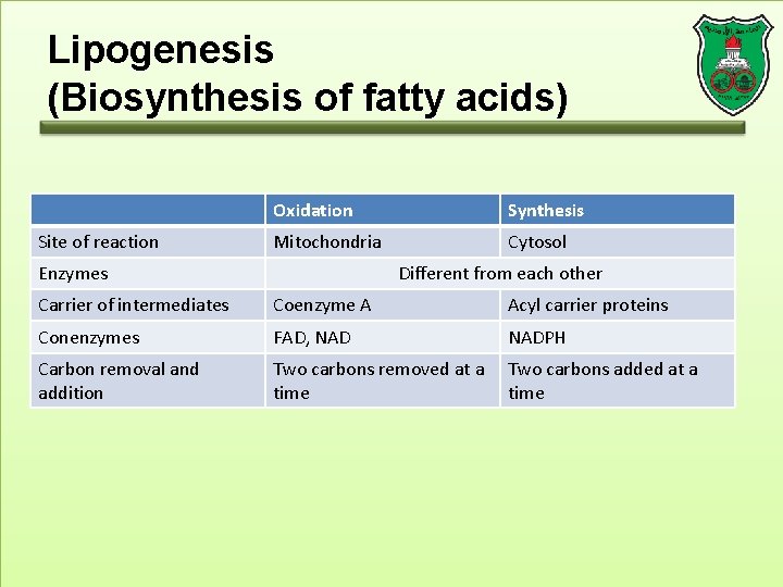 Lipogenesis (Biosynthesis of fatty acids) Site of reaction Oxidation Synthesis Mitochondria Cytosol Enzymes Different
