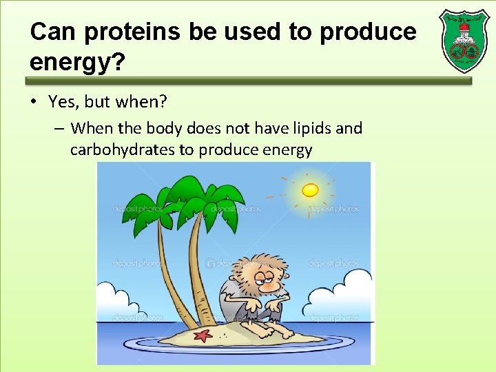 Can proteins be used to produce energy? • Yes, but when? – When the