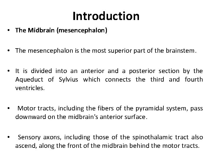 Introduction • The Midbrain (mesencephalon) • The mesencephalon is the most superior part of