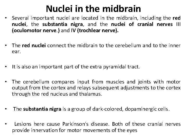 Nuclei in the midbrain • Several important nuclei are located in the midbrain, including