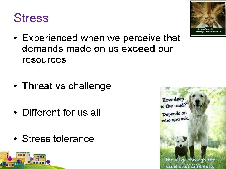 Stress • Experienced when we perceive that demands made on us exceed our resources Stress • Experienced when we perceive that demands made on us exceed our resources
