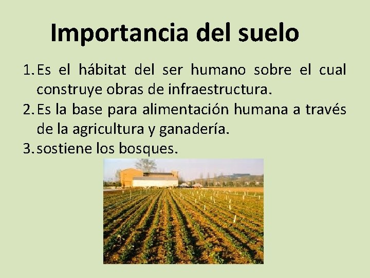 Importancia del suelo 1. Es el hábitat del ser humano sobre el cual construye