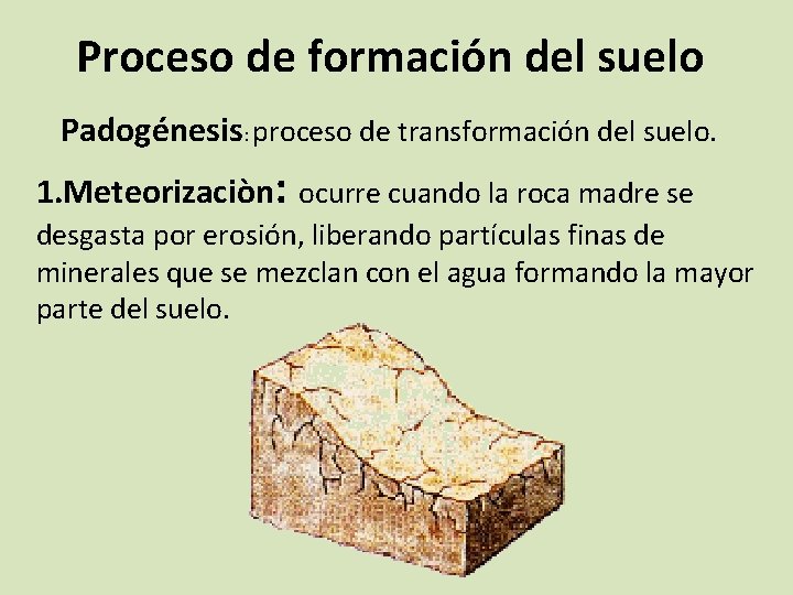 Proceso de formación del suelo Padogénesis: proceso de transformación del suelo. 1. Meteorizaciòn: ocurre