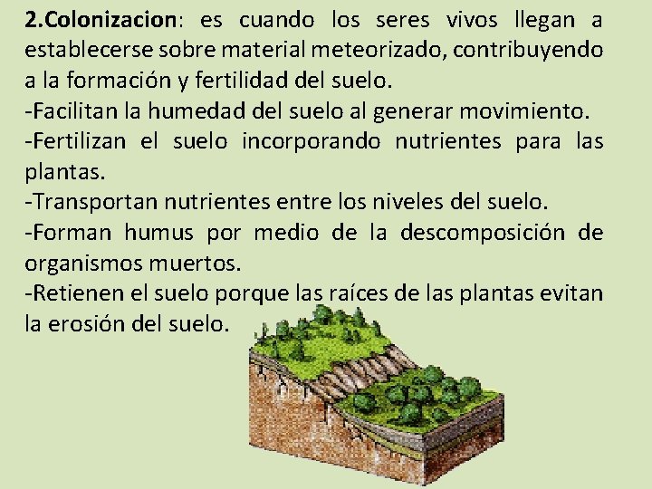 2. Colonizacion: es cuando los seres vivos llegan a establecerse sobre material meteorizado, contribuyendo