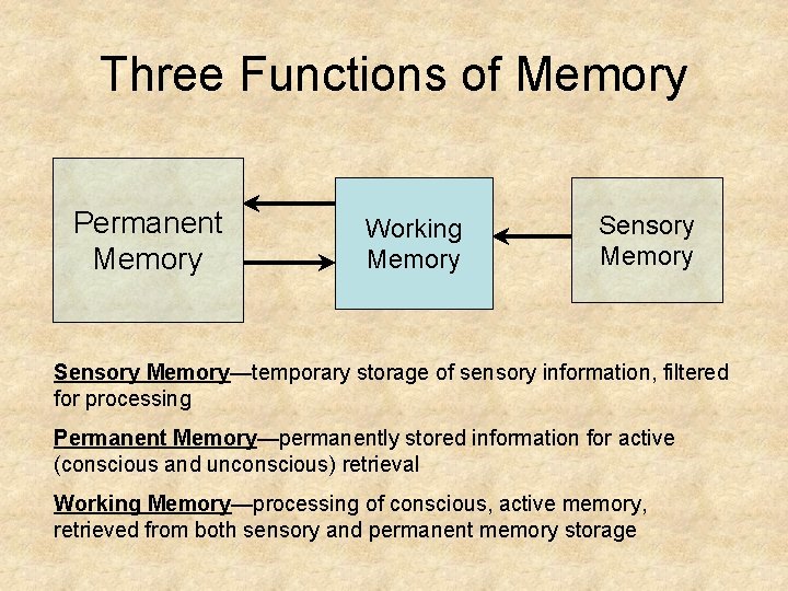 Three Functions of Memory Permanent Memory Working Memory Sensory Memory—temporary storage of sensory information,