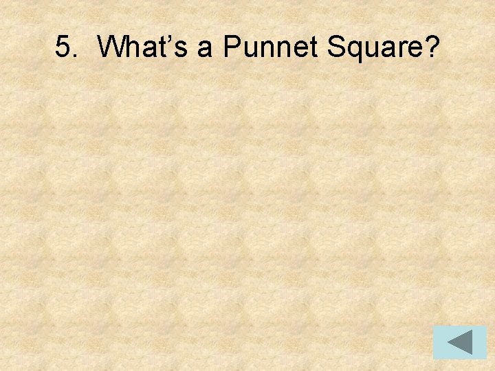 5. What’s a Punnet Square? 