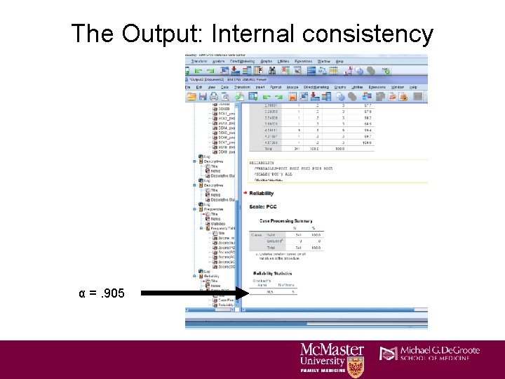 The Output: Internal consistency α =. 905 The Output: Internal consistency α =. 905