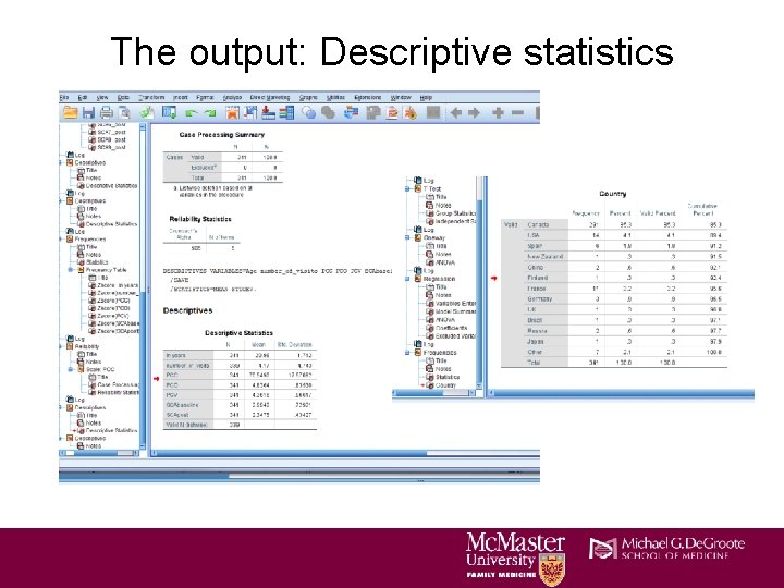 The output: Descriptive statistics The output: Descriptive statistics