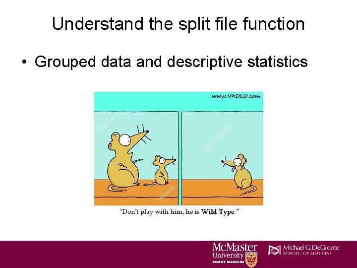 Understand the split file function • Grouped data and descriptive statistics Understand the split file function • Grouped data and descriptive statistics