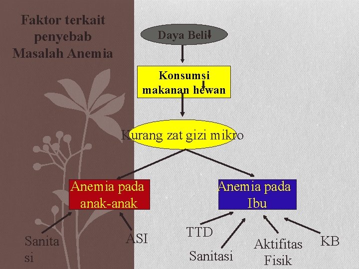 Faktor terkait penyebab Masalah Anemia Daya Beli Konsumsi makanan hewan Kurang zat gizi mikro