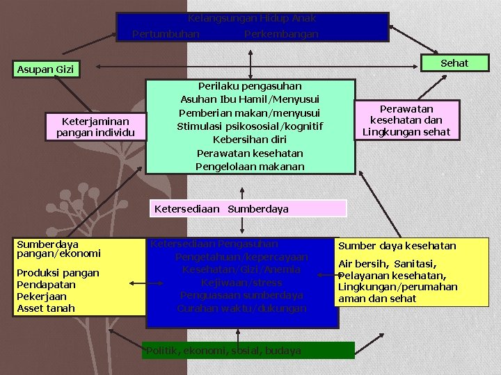 Kelangsungan Hidup Anak Pertumbuhan Perkembangan Sehat Asupan Gizi Keterjaminan pangan individu Perilaku pengasuhan Asuhan