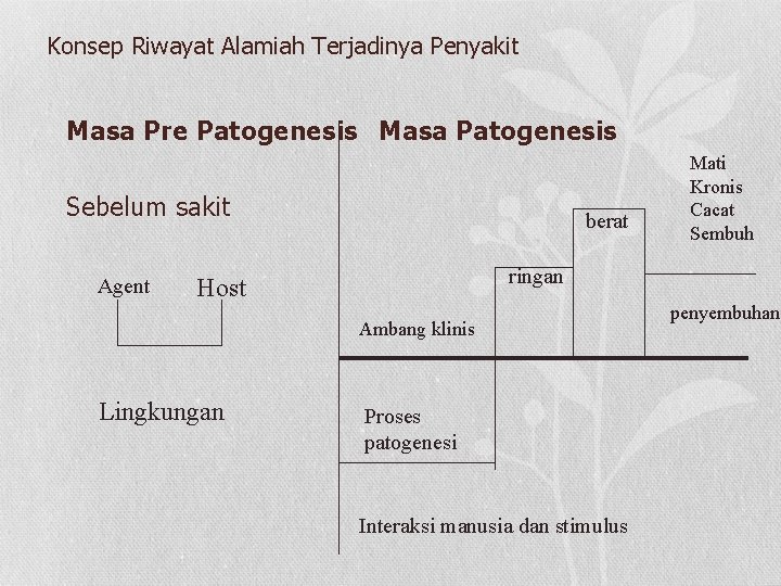 Konsep Riwayat Alamiah Terjadinya Penyakit Masa Pre Patogenesis Masa Patogenesis Sebelum sakit Agent berat