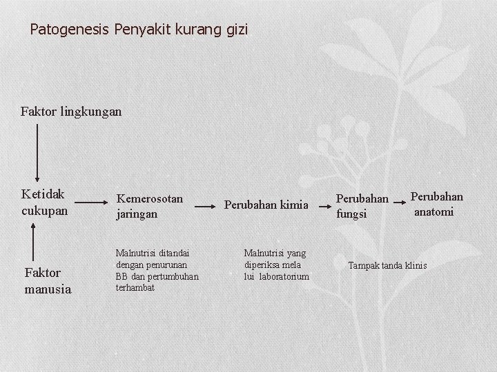 Patogenesis Penyakit kurang gizi Faktor lingkungan Ketidak cukupan Faktor manusia Kemerosotan jaringan Malnutrisi ditandai