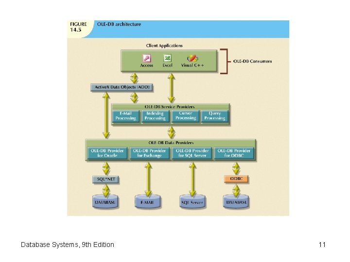 Database Systems, 9 th Edition 11 