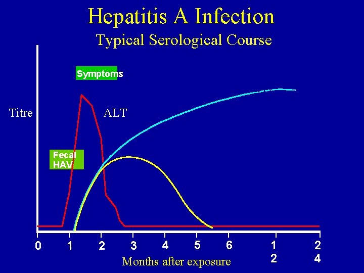 Hepatitis A Infection Typical Serological Course Total anti. HAV Symptoms Titre ALT Fecal HAV