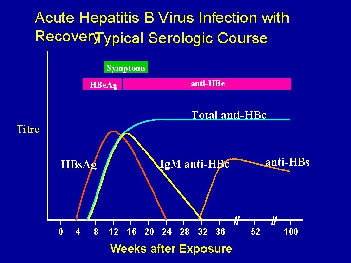 Acute Hepatitis B Virus Infection with Recovery. Typical Serologic Course Symptoms HBe. Ag anti-HBe