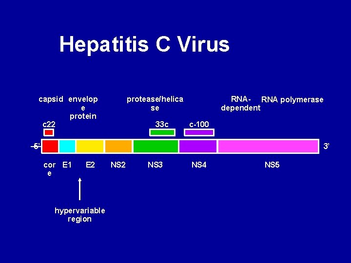 Hepatitis C Virus capsid envelop e protein c 22 protease/helica se 33 c RNA-