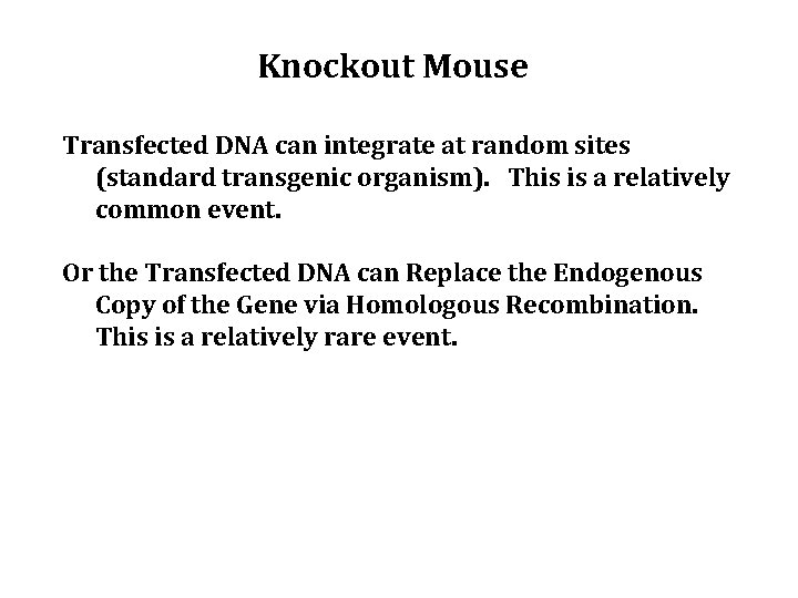 Knockout Mouse Transfected DNA can integrate at random sites (standard transgenic organism). This is