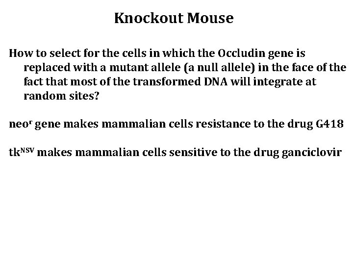 Knockout Mouse How to select for the cells in which the Occludin gene is