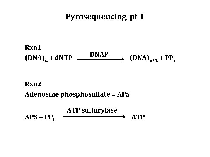 Pyrosequencing, pt 1 Rxn 1 (DNA)n + d. NTP DNAP (DNA)n+1 + PPi Rxn