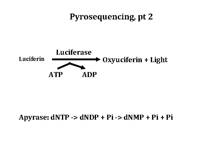 Pyrosequencing, pt 2 Luciferin Luciferase ATP Oxyuciferin + Light ADP Apyrase: d. NTP ->