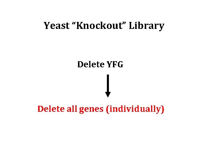 Yeast “Knockout” Library Delete YFG Delete all genes (individually) 