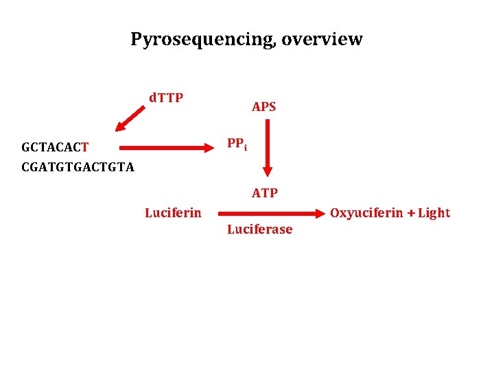 Pyrosequencing, overview d. TTP APS PPi GCTACACT CGATGTGACTGTA ATP Luciferin Oxyuciferin + Light Luciferase