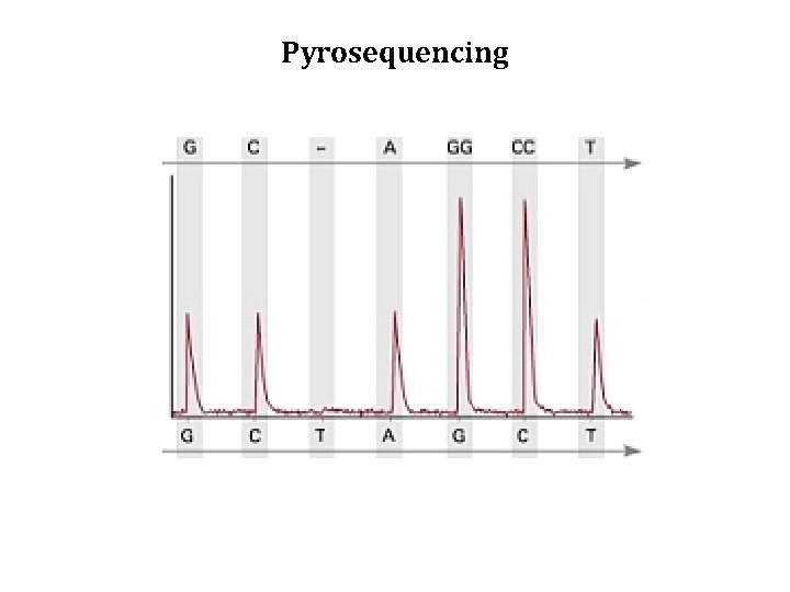Pyrosequencing 