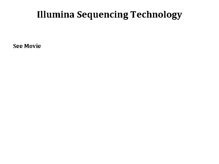 Illumina Sequencing Technology See Movie 