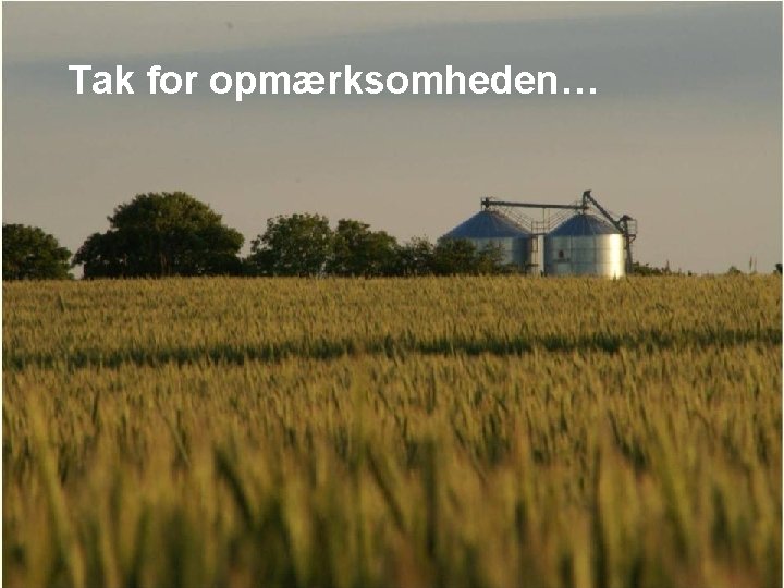 Tak for opmærksomheden… 