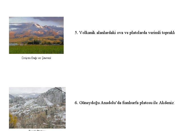 5. Volkanik alanlardaki ova ve platolarda verimli toprakla 6. Güneydoğu Anadolu’da fianlıurfa platosu ile