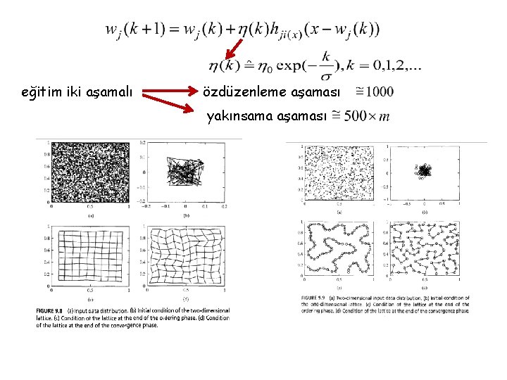 eğitim iki aşamalı özdüzenleme aşaması yakınsama aşaması 