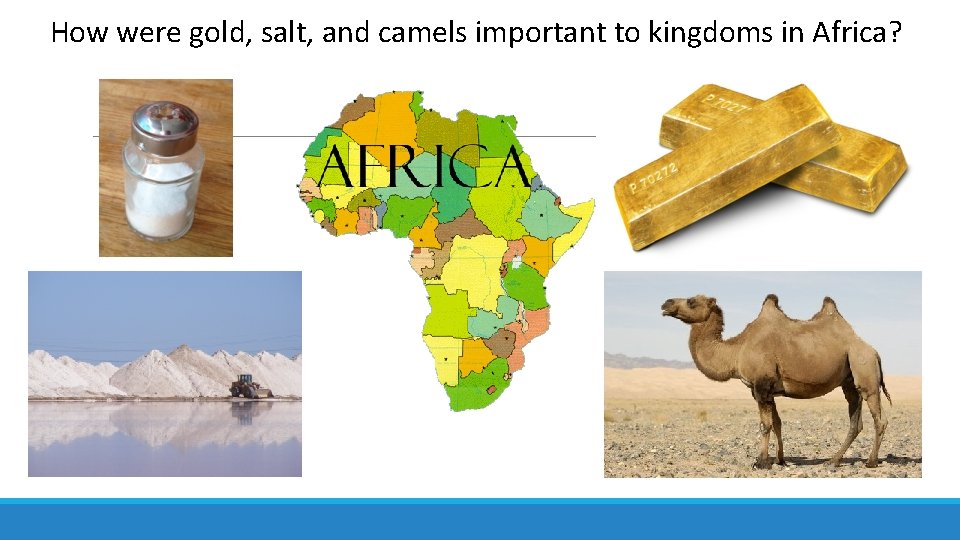How were gold, salt, and camels important to kingdoms in Africa? 