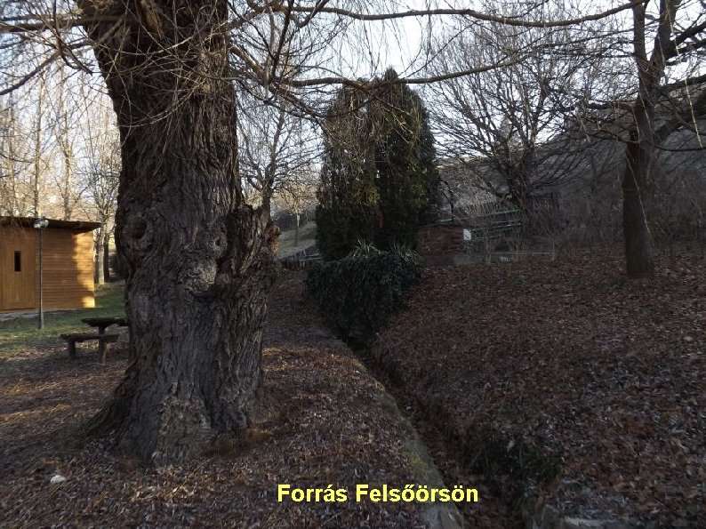 Forrás Felsőörsön 