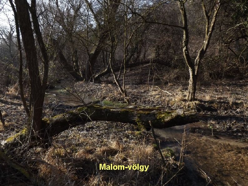 Malom-völgy 