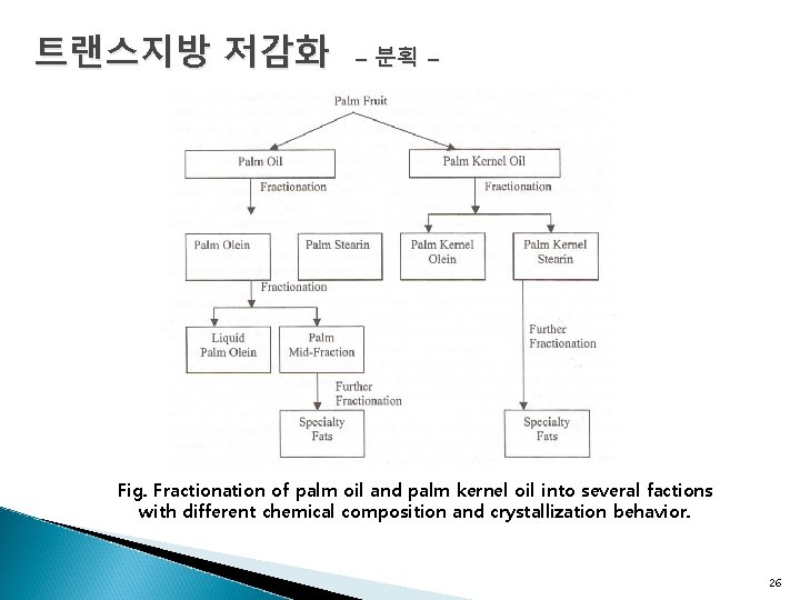 트랜스지방 저감화 - 분획 - Fig. Fractionation of palm oil and palm kernel oil