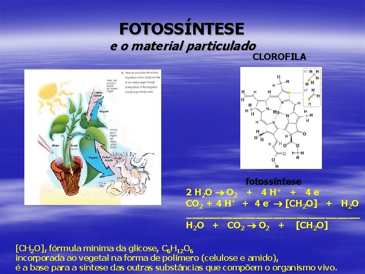 FOTOSSÍNTESE e o material particulado CLOROFILA fotossíntese 2 H 2 O O 2 +