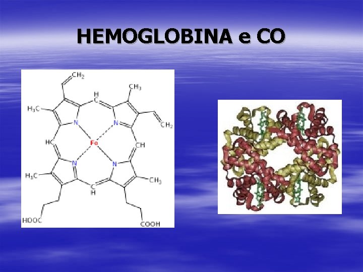 HEMOGLOBINA e CO 