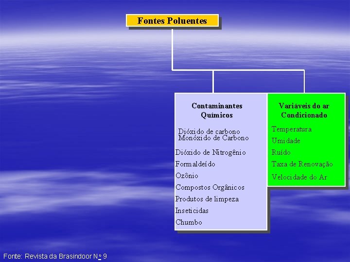 Fontes Poluentes Contaminantes Químicos Dióxido de carbono Monóxido de Carbono Dióxido de Nitrogênio Formaldeído