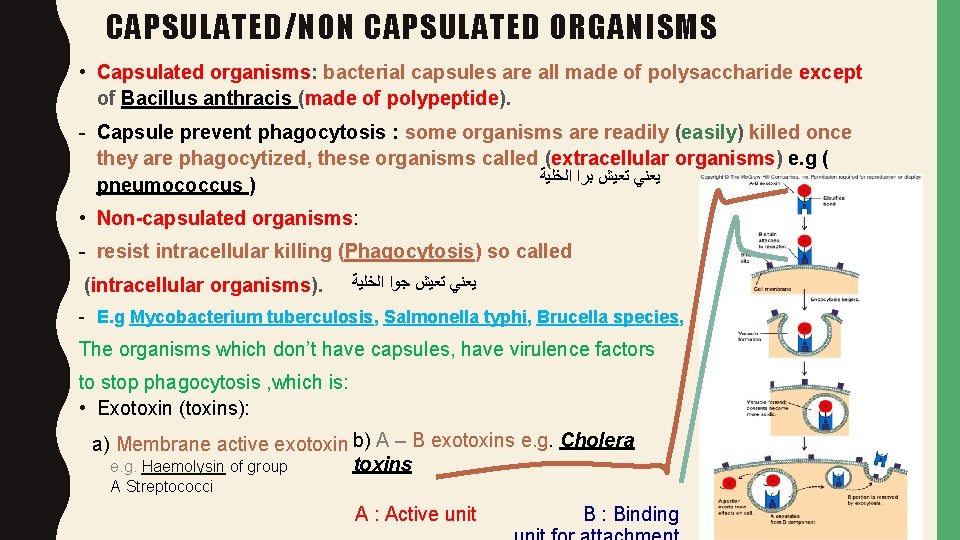 CAPSULATED/NON CAPSULATED ORGANISMS • Capsulated organisms: bacterial capsules are all made of polysaccharide except